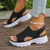 Zapatos de Mujer Estilo Manga Transfronterizos Europeos y Americanos de Tacón Bajo Boca de Pez Fuente Zapatos Casuales Moda Otoño 2025 Sandalias Venta al por Mayor Tallas Grandes