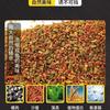 Isca Old Ghost Snail Carp Nº 2 para Pesca Selvagem, Carpa Crucian, Carpa, Snail Carp Nº 1, Snail Carp Nº 3, Isca Old Three para Lagos e Represas