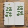 Hoja de Eucalipto Individual Simulada Flores Artificiales Accesorios Guirnalda DIY Ramillete Flores de Mano Accesorios Florales Plantas Verdes Props Flor