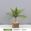 Plantas Verdes Artificiales, Helecho Cola de Fénix, Helecho Persa, Serie Bosque Paisajístico, Paisajismo para Exhibidores de Ventanas, Embellecimiento de Centros Comerciales, Helecho Espárrago