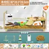 Aquário de Vidro para Tartarugas para Uso Doméstico na Sala de Estar, Tanque de Criação Universal com Plataforma para Tomar Sol, Aquário Ecológico Paisagístico para Peixes Pequenos, Tanque de Criação Mista para Peixes e Tartarugas