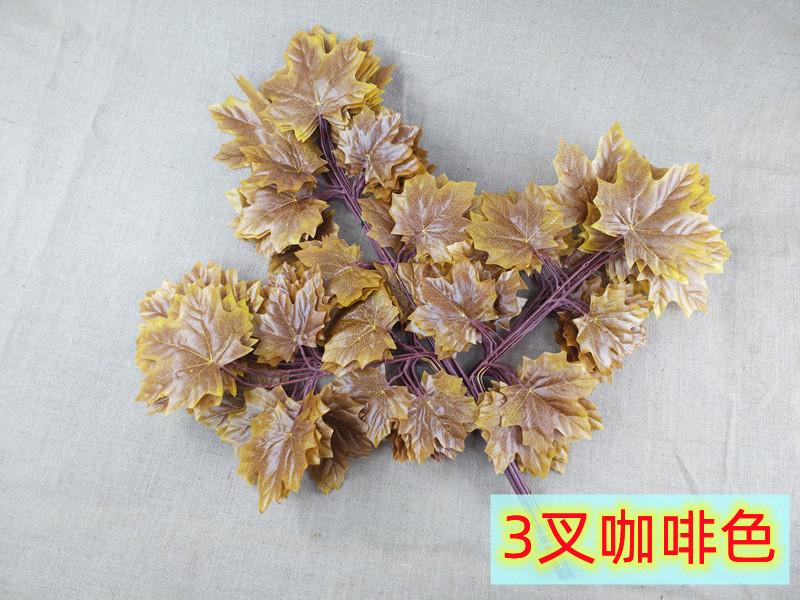 IMG_20220607_121231_副本.jpg
