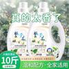 Fábrica mayorista de detergente para ropa, volumen al por mayor, detergente para ropa con fragancia Gardenia, caja completa, 2,5 kg, ceremonia de apertura del detergente para ropa