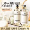 Champú Flor de Camelia, Sin Silicona, Control de Grasa, Voluminizador, Anticaspa, Antipicazón, Aminoácidos, Champú Antiácaros para Mujeres y Hombres