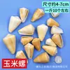 Materiales para Manualidades de Conchas de Caracol Naturales al por Mayor por Libra, Estrellas de Mar para Manualidades, Souvenirs de Viaje, Decoraciones para Acuarios