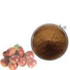 Extracto de Castaño de Indias 10:1 Polvo de Castaña Soluble en Agua Materia Prima de Grado Alimenticio Polvo de Extracto Vegetal en Stock con Envío Gratis