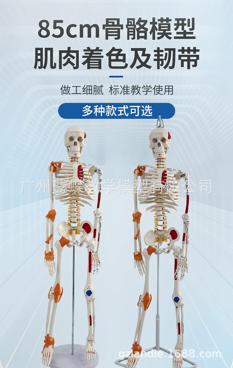 详情_01