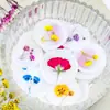 Pegatinas de Sellos de Cera Serie Flores Secas, Cinta de Doble Cara con Diseños de Gipsofila y Planta de Rosa, Etiquetas de Sello de Cera con Flores Secas