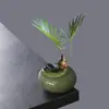 Maceta Pequeña Redonda Plana con Esmalte Agrietado Hielo, Mini Maceta para Suculentas y Plantas Verdes, Maceta de Bambú Ciprés para Hotel, Cerámica Creativa de Mesa con Agujeros