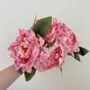 Fornecimento direto da fábrica Retro Light Luxury Oil Painting Peony Flower Simulação de flores Decoração para sala de estar Enfeites de mesa de jantar Adereços para fotografia Flor falsa
