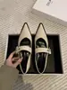 Sapatos Mary Jane Retrô de Bico Fino e Boca Rasa para Mulheres, Novo Estilo Primavera e Outono 2026, Salto Médio Estilo Francês, Adequados para Combinar com Saias, Sapatos de Couro com Salto Grosso