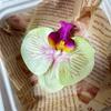 Flor artificial Phalaenopsis flor 3D de película cabeza de flor estilo ramillete regalo de mano LV Fu regalo DIY caja de regalo decoración de boda