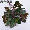 Simulación de plantas Una variedad de hojas de película con tacto manual pequeños manojos de flores decorativas hojas de plantas acuáticas de plástico simulación de materiales para paredes de plantas