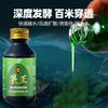 Guozhiliang V7 Upgrade V9 Isca de Peixe Refeição Pesca Pequeno Peixe Droga Atraente Fruta Rei Carpa Carpa Pesca Selvagem Isca de Peixe Preto