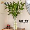 Sombra de Flor Acrílico Flor Despertar Florero Cubo Recto Adornos Sala de Estar Arreglo Floral Acrílico Sentido Avanzado Hidropónico Transparente Anti-Caída