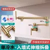 Grifo de pared transfronterizo Acero inoxidable 304 Extendido Plegable Universal Giratorio Monomando Frío Único Monomando Un Agujero Grifo de cocina