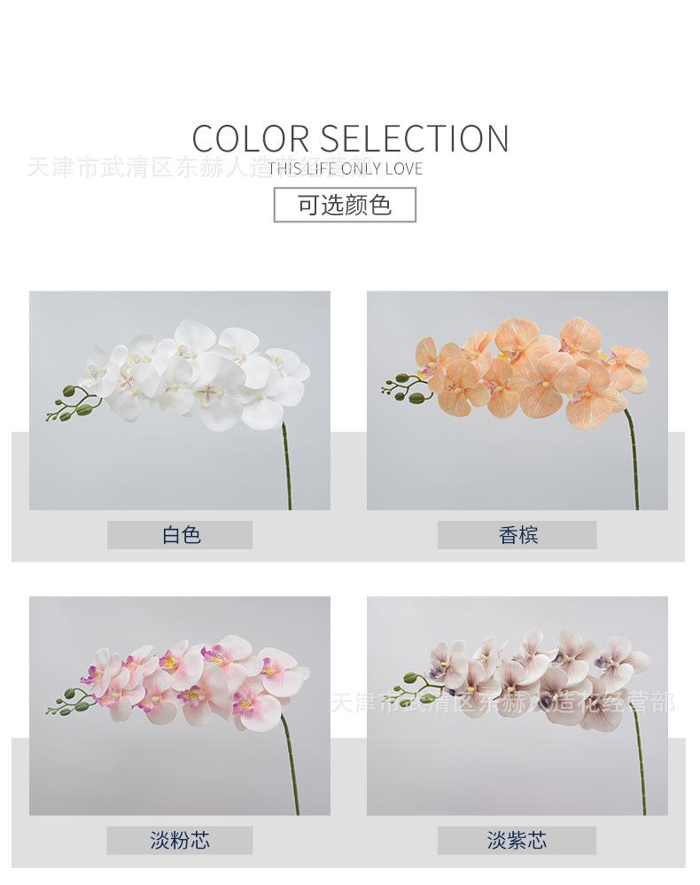 详情_02.jpg