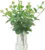 Folha Eucalipto Folha Filme Folha Dinheiro Casamento Decoração de Casa Planta Verde Transfronteiriça