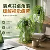 Venta Caliente Transfronteriza Plantas Verdes de Simulación Nandina Persa en Maceta Juego de 2 Piezas Decoración del Hogar Planta de Simulación Bonsái