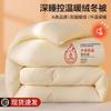 2025 Nueva Colcha de Terciopelo Nube Colcha de Invierno Grosor Aumentado Núcleo de Colcha Tibio Leche Colcha Individual para Dormitorio Primavera y Otoño Ropa de Cama