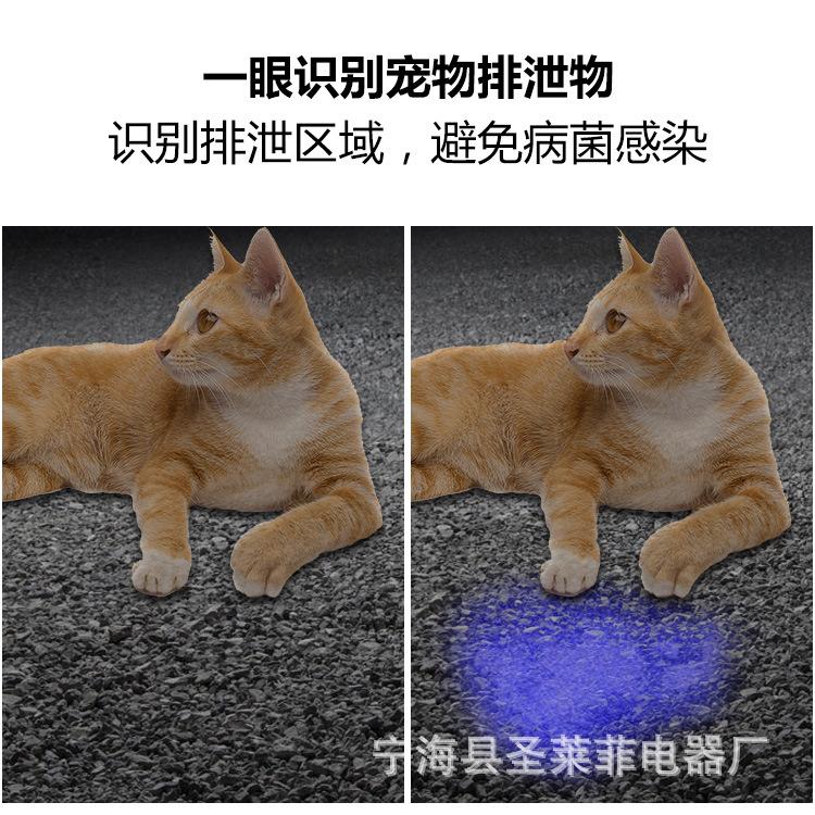 1_08.jpg
