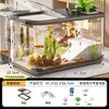 Tanque de Peces Transparente Grande de Alta Definición, Tanque para Peces Dorados, Tanque Ecológico de Escritorio para Observación de Peces, Adorno Decorativo, Acuario Grande para Tortugas para Cuidado de Tortugas