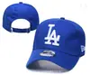Nueva Gorra de Béisbol Bordada de Comercio Exterior para Hombres y Mujeres, Gorra de Sombrilla de Primavera, Gorra Azul Pájaro Azul Casual con Protección Solar Mlb1