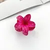 2025 Europeu e Americano Transfronteiriço Frangipani Pegador Feminino Férias na Praia Pegador Lateral Grampo de Cabelo Parte de Trás da Cabeça Cabelo Presilha Tubarão Acessório de Cabelo