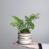 Vaso de Cerâmica para Flores de Mesa Interna, Exclusivo Vaso Pequeno com Suculentas para Escritório, Sala de Estar, Uso Doméstico, Vaso Pequeno Criativo para Orquídeas Suspensas