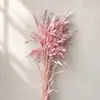 14 piezas de pampas grass pequeño eterno flores secas reales, venta al por mayor desde el fabricante, ramos, decoraciones estilo ins, materiales para manualidades, cubierta de vidrio, decoración de boda