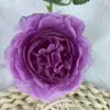 Ramas de Flores de Peonía Artificiales Transfronterizas, Ramos de Flores, Arreglos Florales, Decoraciones de Boda, Decoraciones de Mesa para el Día de San Valentín, Flores Artificiales de Seda, Flores Falsas