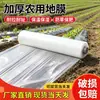 Filme de mulching branco agrícola, isolante, transparente, espessado, filme plástico para estufa, especializado para proteção contra o frio do inverno e plantio de engenharia