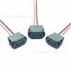Conector Hembra Tipo-C 2P con Terminal Ph2.0 Cable 24Awg Conector de Carga para Luz de Camping Interfaz de Carga Puerto C
