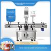 Máquina de enchimento de partículas de grãos linha de enchimento automática de comida de gato de arroz Máquina de enchimento linear de sal do Himalaia