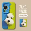 Adequado para Capa de Celular Huawei Pura90 Pro Max P80 Probe Puppy 70 Ultra Silicone 60 Cordão 50 Capa Macia