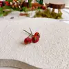 Caja Misteriosa Decoración Bosque Micro Paisaje Musgo Corteza Material DIY Casa de Muñecas Escena Accesorios Hechos a Mano Material