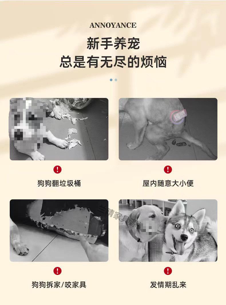 53199c44-c279-40c5-b747-81cccab6de56.jpe