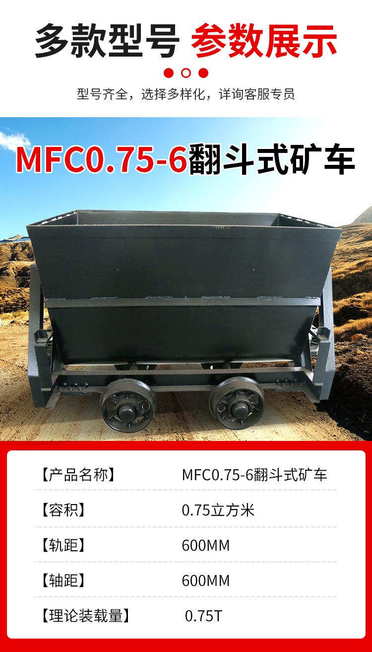 MFC0_03.jpg