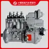 Partes del Motor Cummins 4Bt3.9 Bomba de Combustible 5261582 5261583