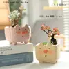 Oso Gordito Lindo Dibujo Animado Animal Pintado Forma Especial Transpirable Maceta para Suculentas Personalizada Adornos Súper Lindos Manualidades Venta al por Mayor