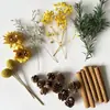 Paquete de Materiales para Manualidades DIY de Flores Secas Mixtas y Frutas Secas Piñas de Canela Plantas Naturales Decoración de Aromaterapia sin Llama