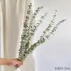 Pequeña Cola de Conejo de Caña Hierba Flor Inmortal Ramo DIY Producto Terminado Decoración Flor Real Adornos de Instagram Hierba de la Pampa Flores Secas Transfronterizo