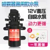 Accesorios Completos para Pulverizador Eléctrico Agrícola Bomba de Agua 12V Batería de Litio Cargador de Batería Boquilla Pulverizadora de Pesticidas de Alta Presión