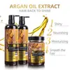 Shampoo de Óleo de Argan para Comércio Exterior, Tratamento Capilar com Óleo de Argan, Reparação de Permanente e Coloração, Tratamento para Cabelos Danificados, Máscara Capilar com Óleos Essenciais
