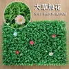 Parede de Plantas Simuladas Parede de Plantas Verdes Gramado Falso de Plástico Parede de Fundo Cabeça de Porta de Eucalipto Loja Interna Parede de Flores Decoração