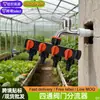 Válvula de Derivação de Quatro Vias para Jardim, Conector de Bico Um para Quatro para Irrigação de Vegetais, Uma Entrada e Quatro Saídas, Distribuidor de Água de Irrigação Plástico