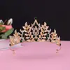 Diadema de Corona para Niñas Corona de Princesa Diadema Grande Accesorios Rosas para el Cabello Accesorios para Espectáculos Sophia Corea del Sur