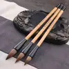 Escrita regular pincel de escrita tradicional para adultos pincel de lobo com ponta curta conjunto de caligrafia pintura chinesa peônia frango pincel de distância script de alho selo