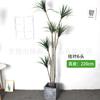 Dracaena de Simulación Flexible Paisaje Planta Agave de Alta Simulación Decoración para el Hogar en Maceta Árbol Dragón Sisal