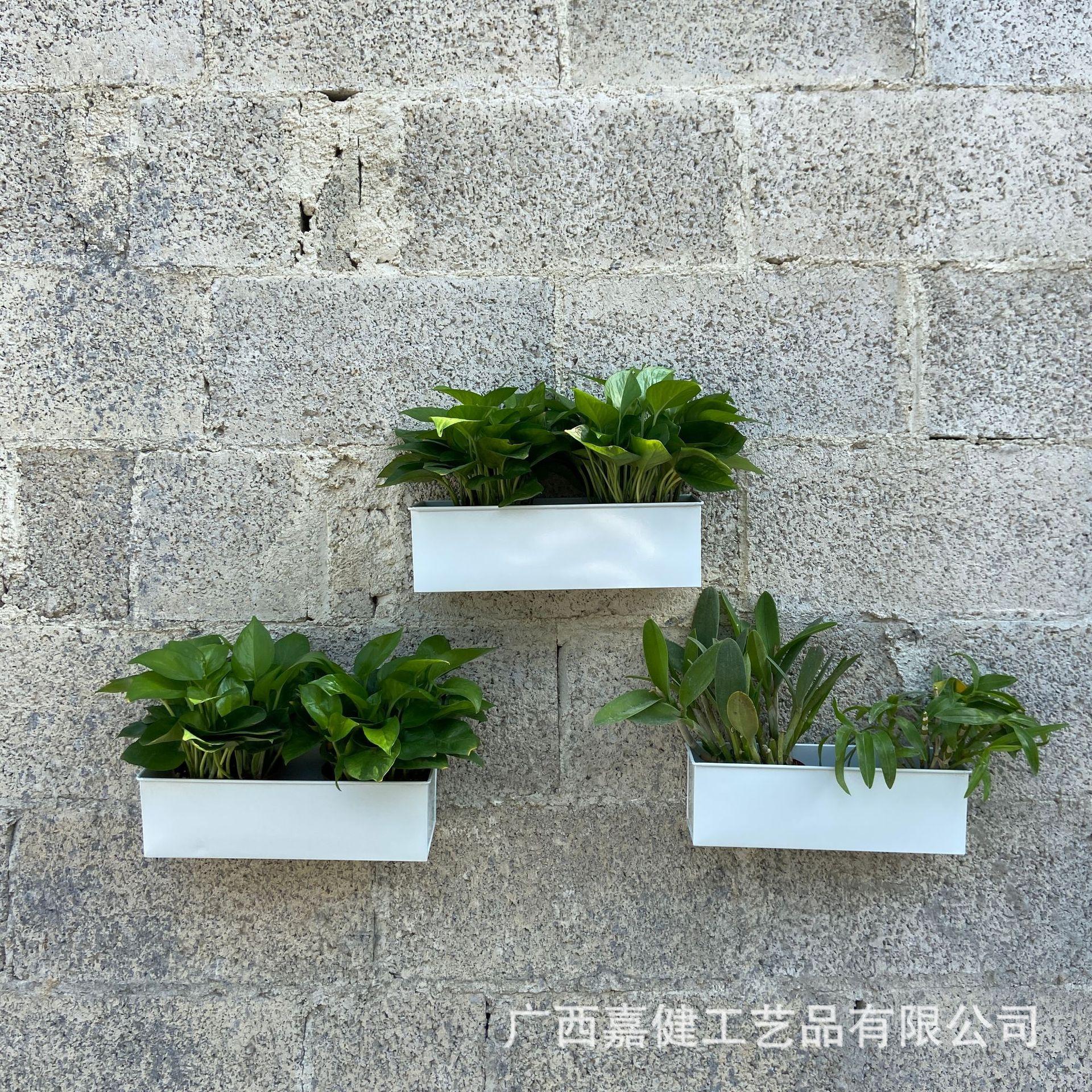 白色3件套.jpg